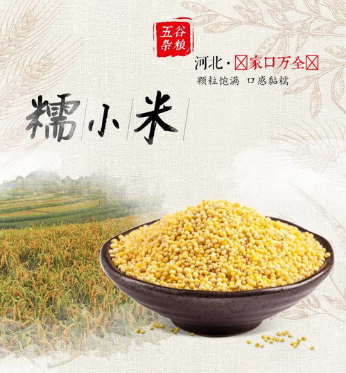 大自然的饋贈 營養從“小米”開始